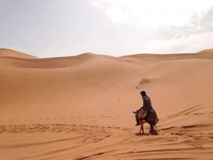 02-Dune02