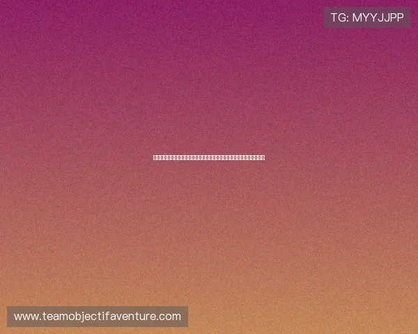 浩瀚体育真人视讯平台的操作指南，帮助新手快速上手享受精彩体育直播