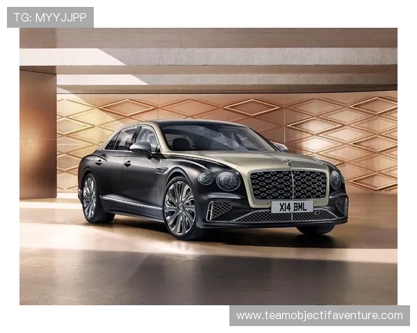 飞驰官方旗舰店：丰富车型选择满足不同客户的个性化需求