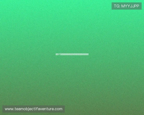 伊朗VS新西兰世界杯出线概率最新统计数据与专家预测分析