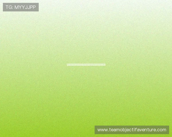 比利时对阵伊朗比赛中球迷围巾展示精彩瞬间与现场氛围分析 比利时对阵伊朗比赛中球迷围巾展示精彩瞬间与现场氛围分析